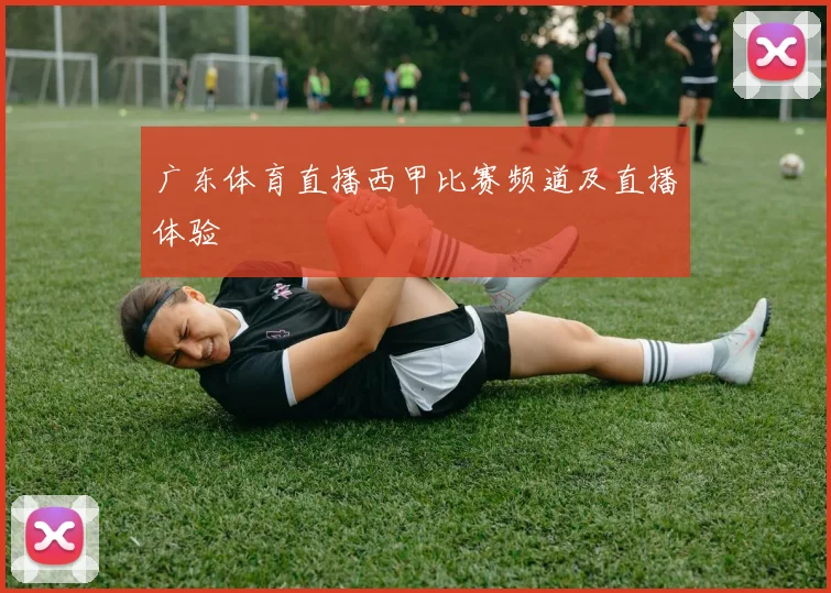 广东体育直播西甲比赛频道及直播体验